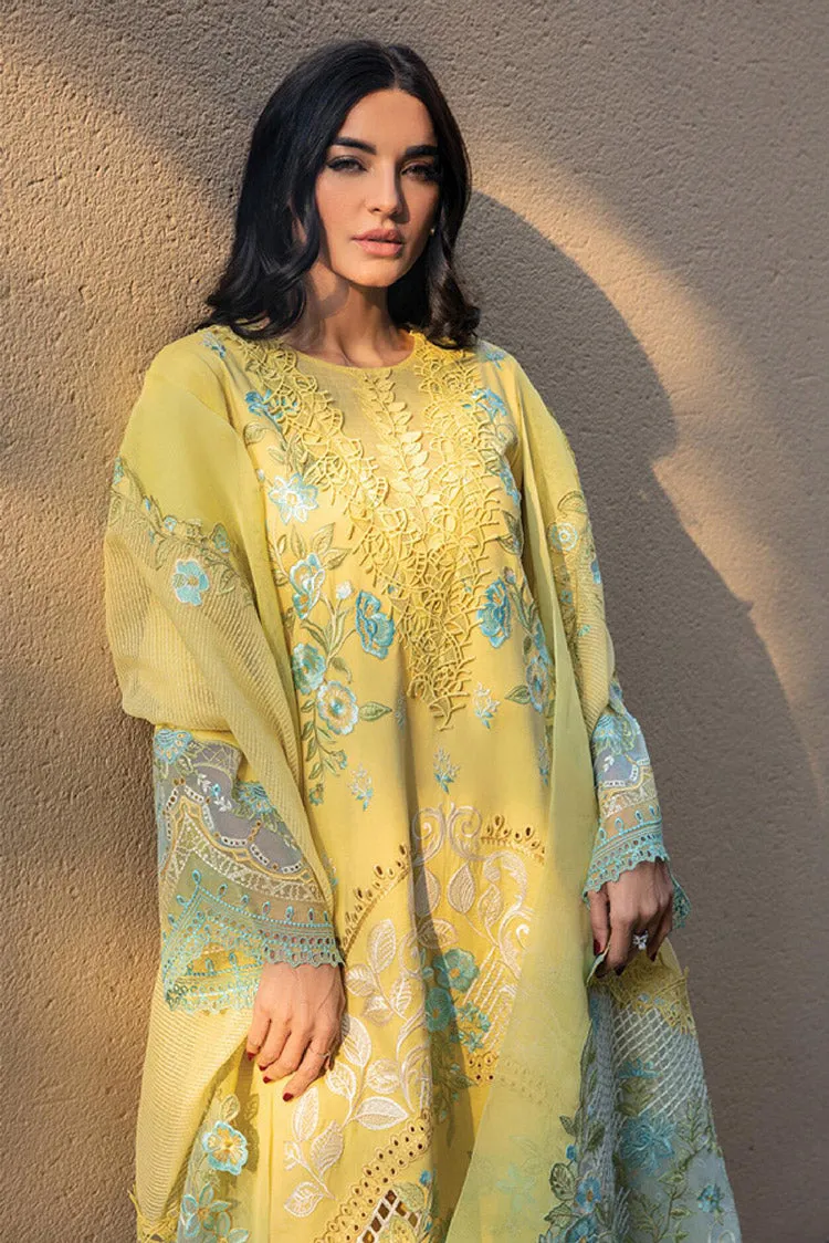 01 Amani Premium Summer Lawn Collection