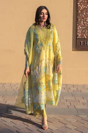 01 Amani Premium Summer Lawn Collection