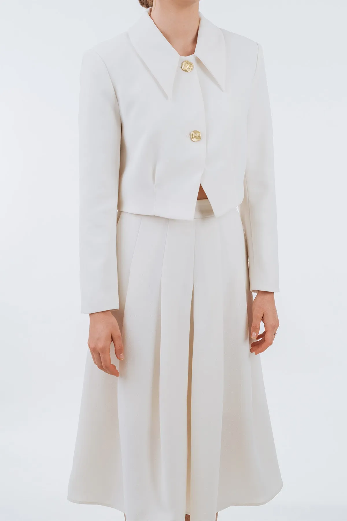 Jayneuss Cropped Long Sleeve Jacket and Midi Pleated Skirt Set