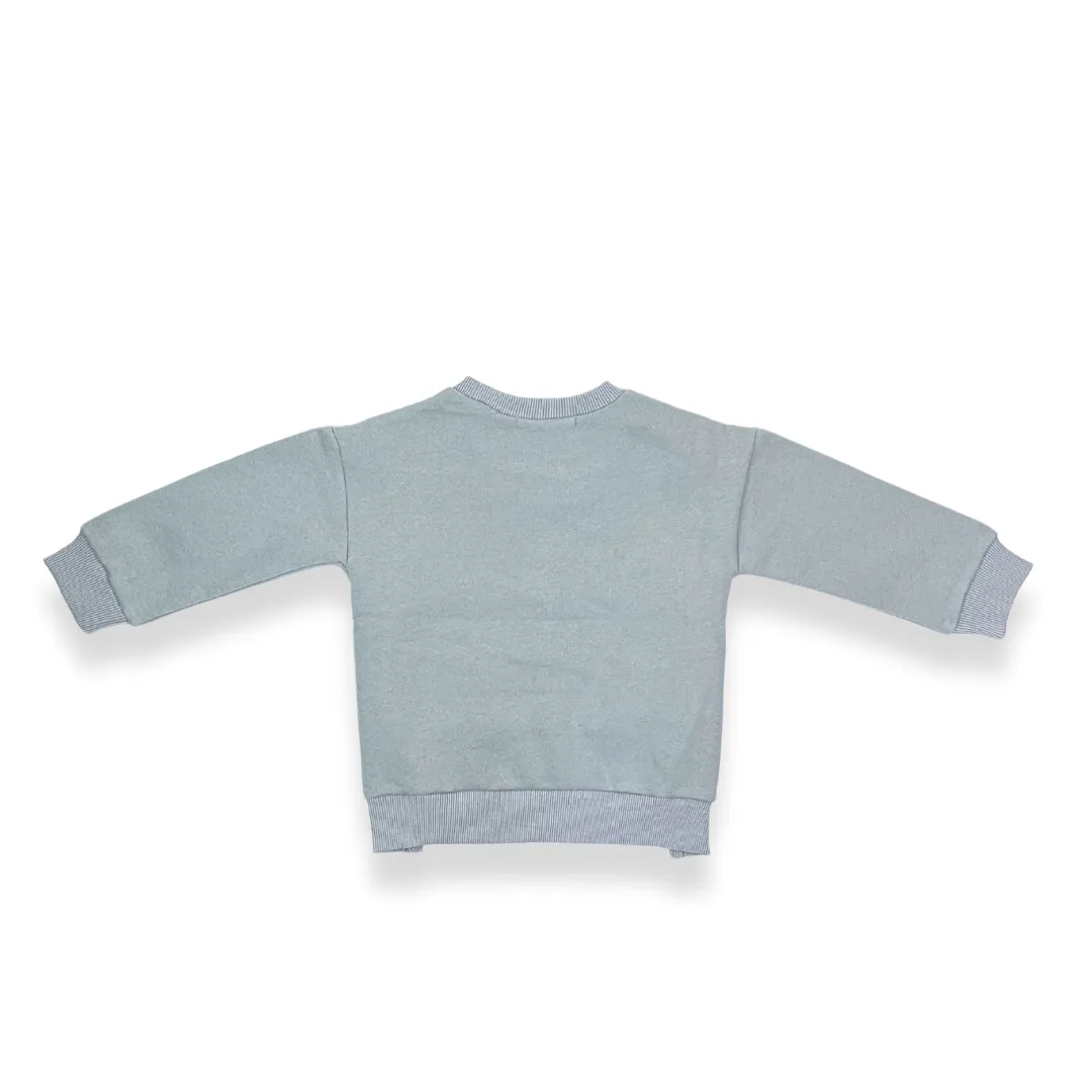 Penguin Sweatshirt - BLUE